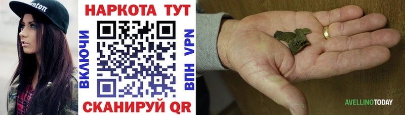 Какие есть наркотики Шилка АМФЕТАМИН  A PVP  Галлюциногенные грибы  Канабис  MEGA зеркало  COCAIN  ГАШ  Мефедрон  ТГК 