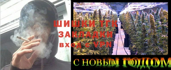 тгк Абаза