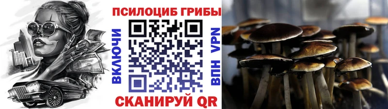 Галлюциногенные грибы Cubensis  Шилка 