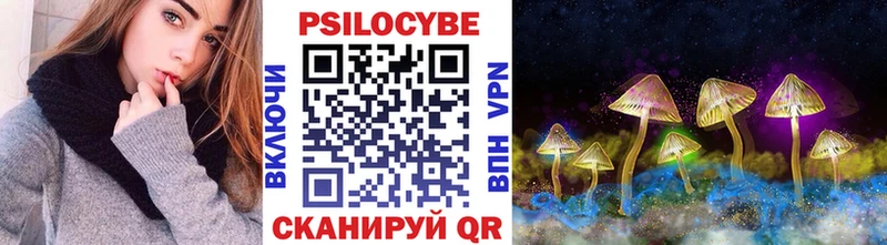 Галлюциногенные грибы Psilocybe Шилка